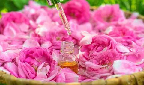 تصویر 1 از گلاب طبیعی با عطر خالص گل های تازه و کیفیت ممتاز